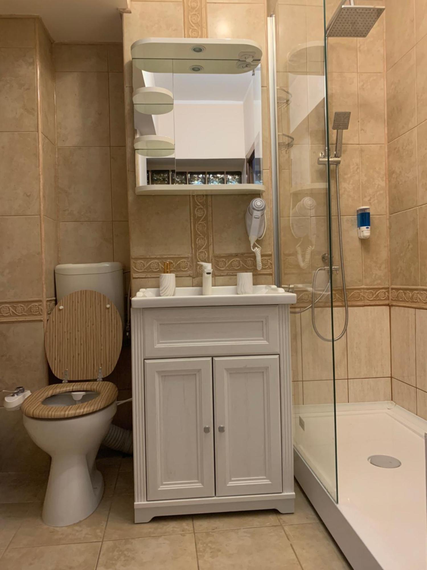 Minerva Ultracentral Apartman Craiova Kültér fotó